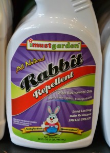 rabbit repellent