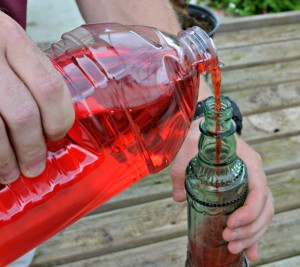 hummingbird feeder fill