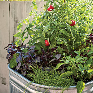 http://www.sunset.com/garden/fruits-veggies/container-vegetable-gardening-00418000067113/