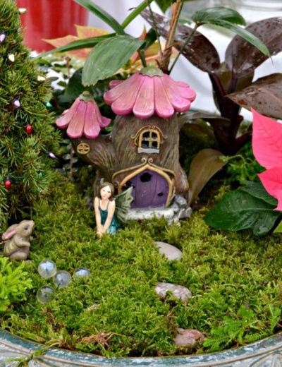 Fairy garden display