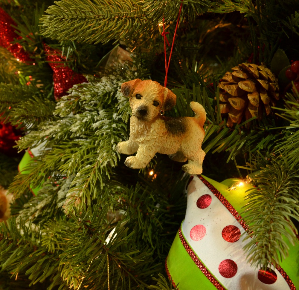 pet shop puppy