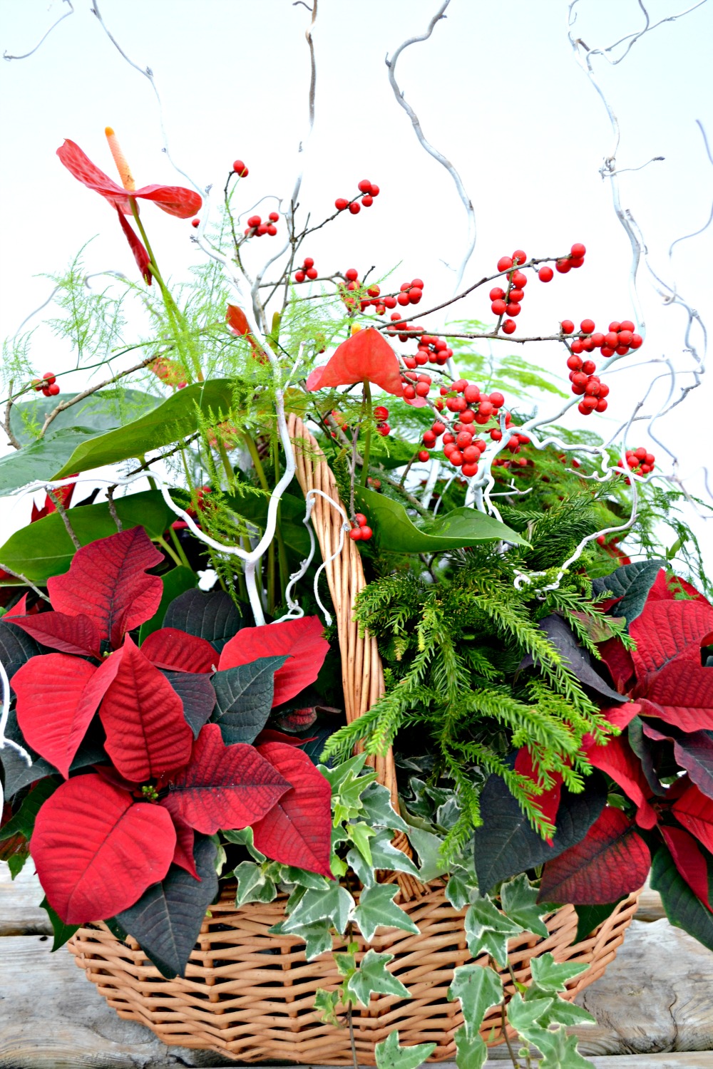 poinsettia centerpiece