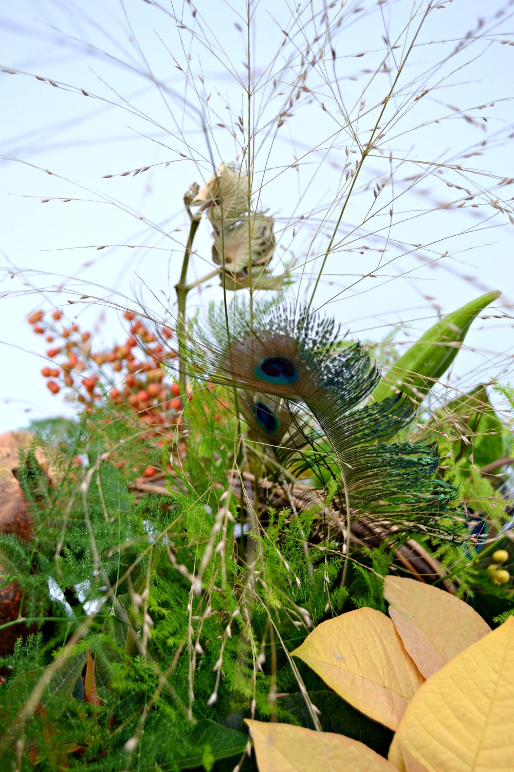 pomegranate centerpiece close peacock