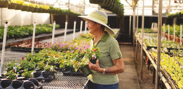 elderly woman in greenhouse