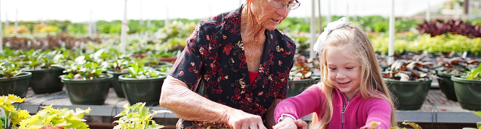elderly woman helping young girl with plants in a greenhouse