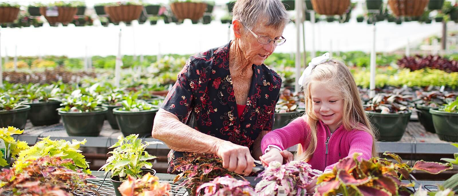 elderly woman helping young girl with plants in a greenhouse