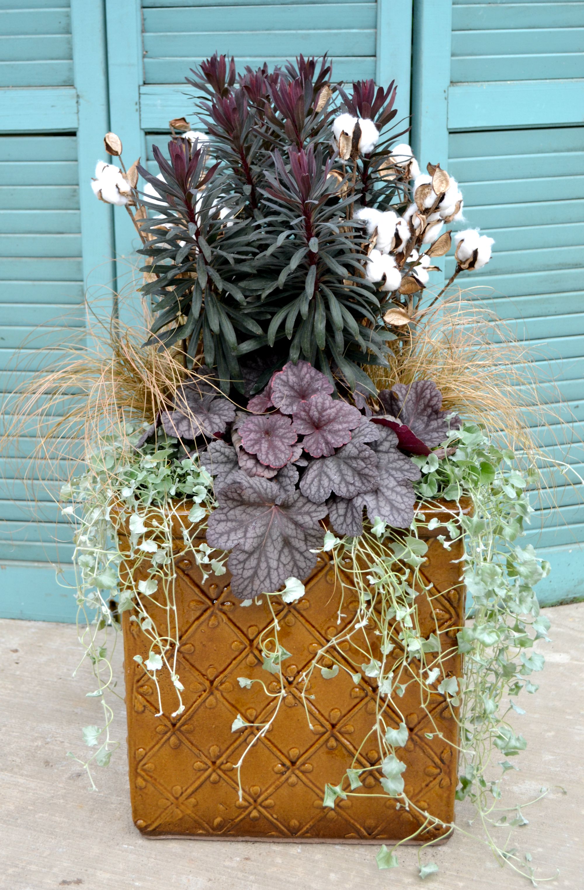 4 Container Garden Ideas Fairview Garden Center