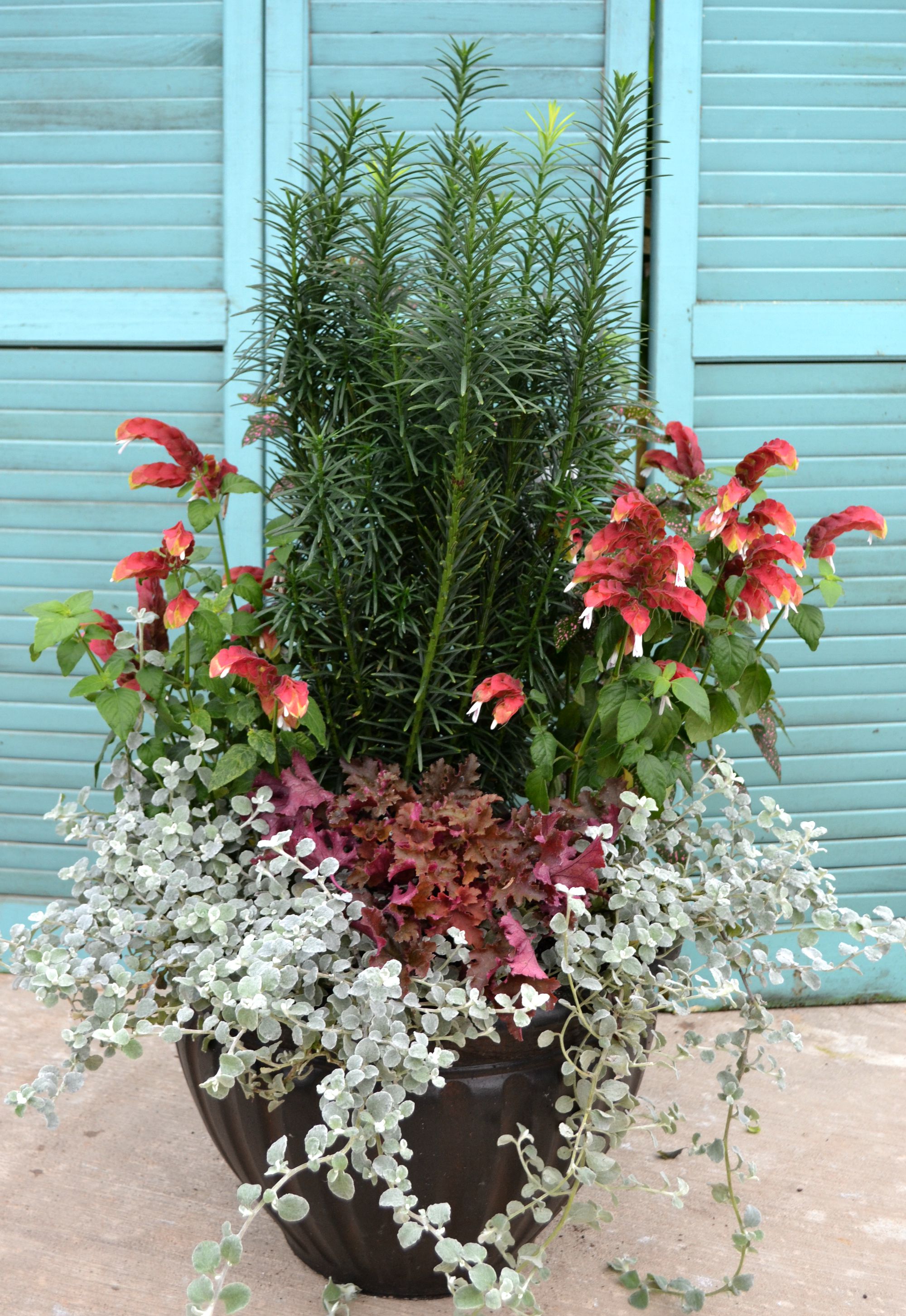 4 Container Garden Ideas Fairview Garden Center