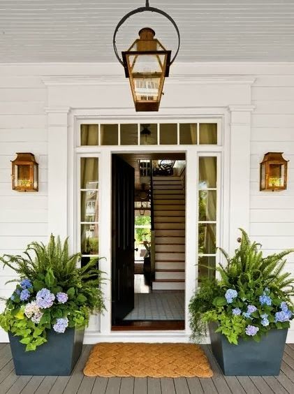 ferns on a front porch