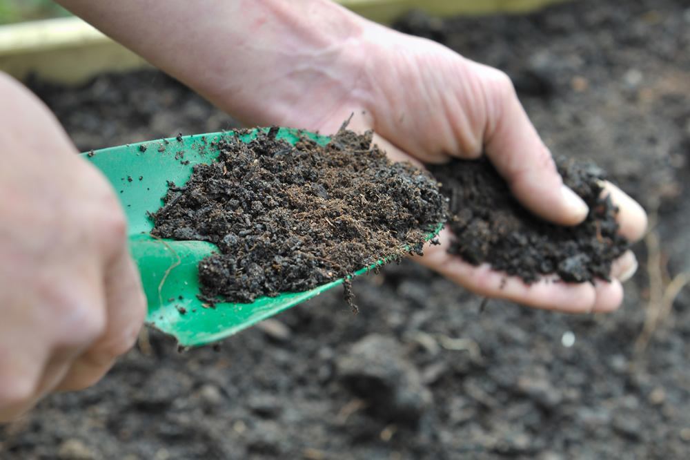 The Green, Brown, and Beautiful Story of Compost