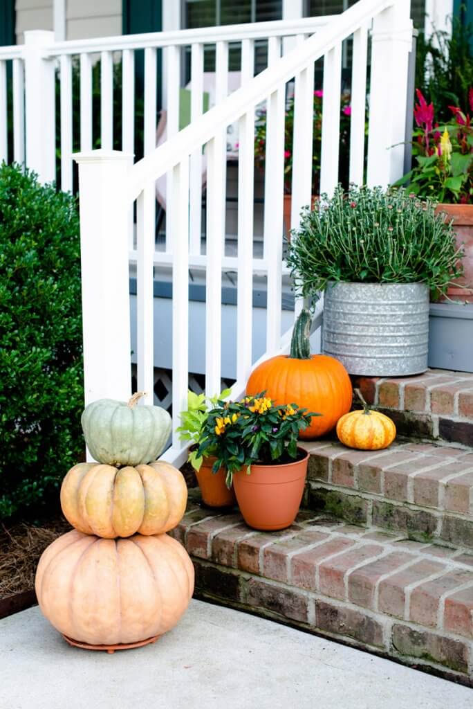 pumpkins and plants on steps