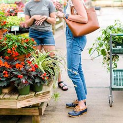 Two people talking in the garden shop